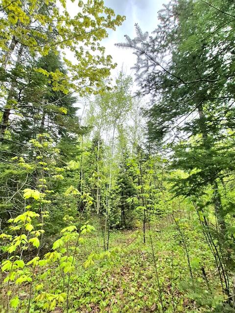 Lot 2 South Oakfield Road Oakfield, ME 04763 - Photo 22 of 37 4475982393294577813