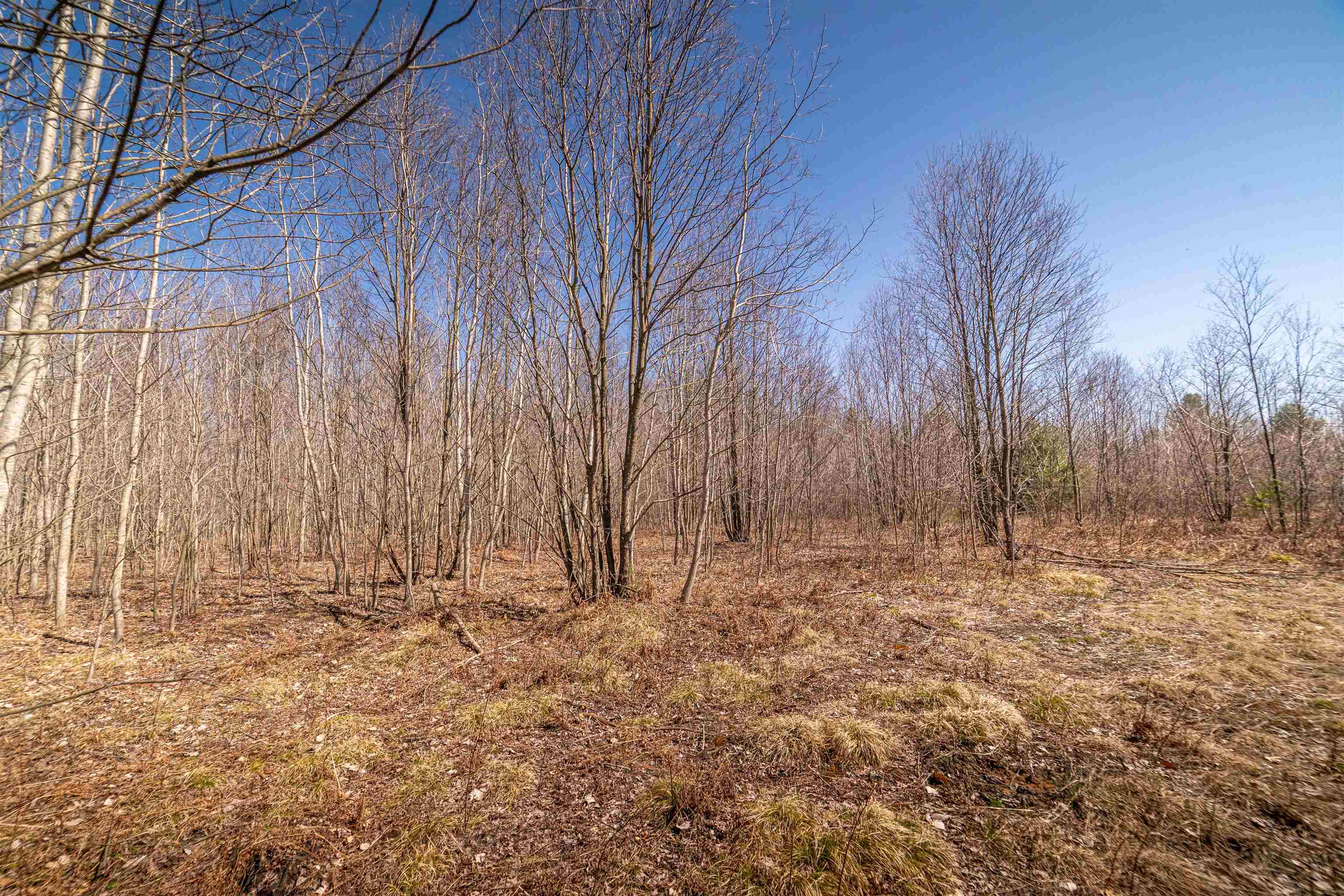 Hulkonen Road Kaleva, MI 49645 - Photo 12 of 19