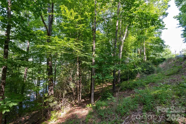 $89,500 | 0 Deer Park Lake Road, Spruce Pine, NC 28777