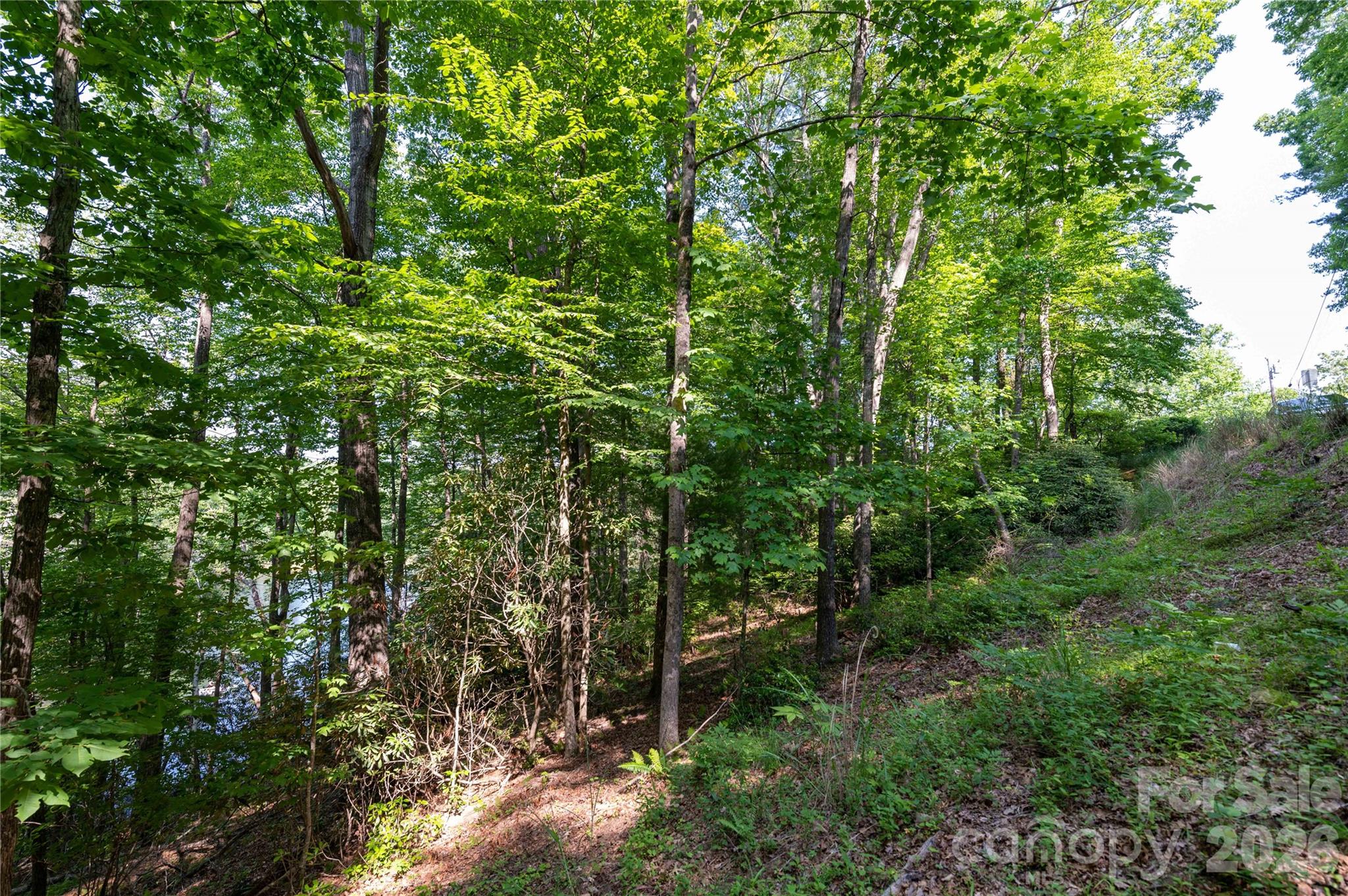 0 Deer Park Lake Road Spruce Pine, NC 28777 - Photo 11 of 21
