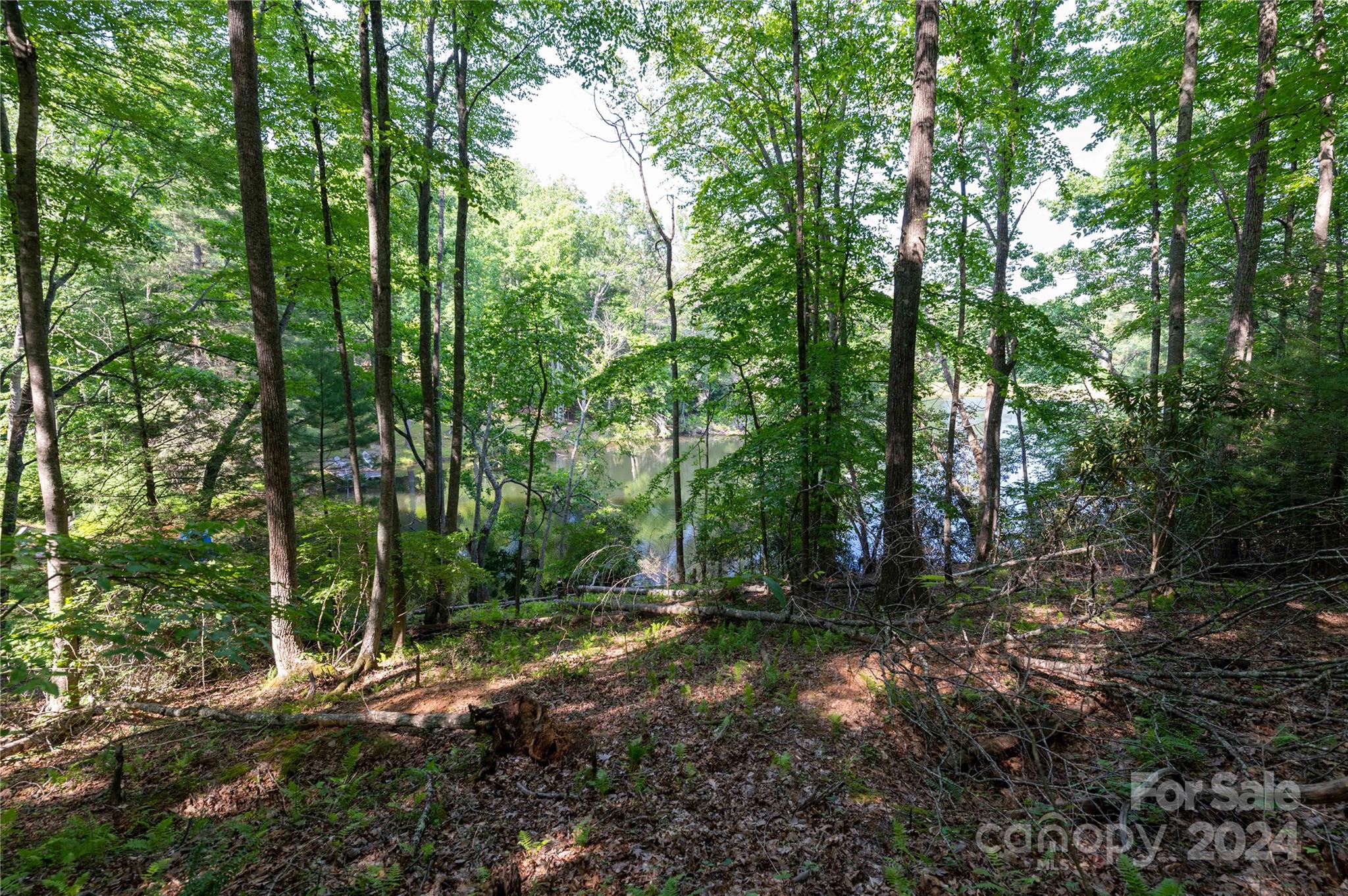 0 Deer Park Lake Road Spruce Pine, NC 28777 - Photo 11 of 21 a view of outdoor space and green space