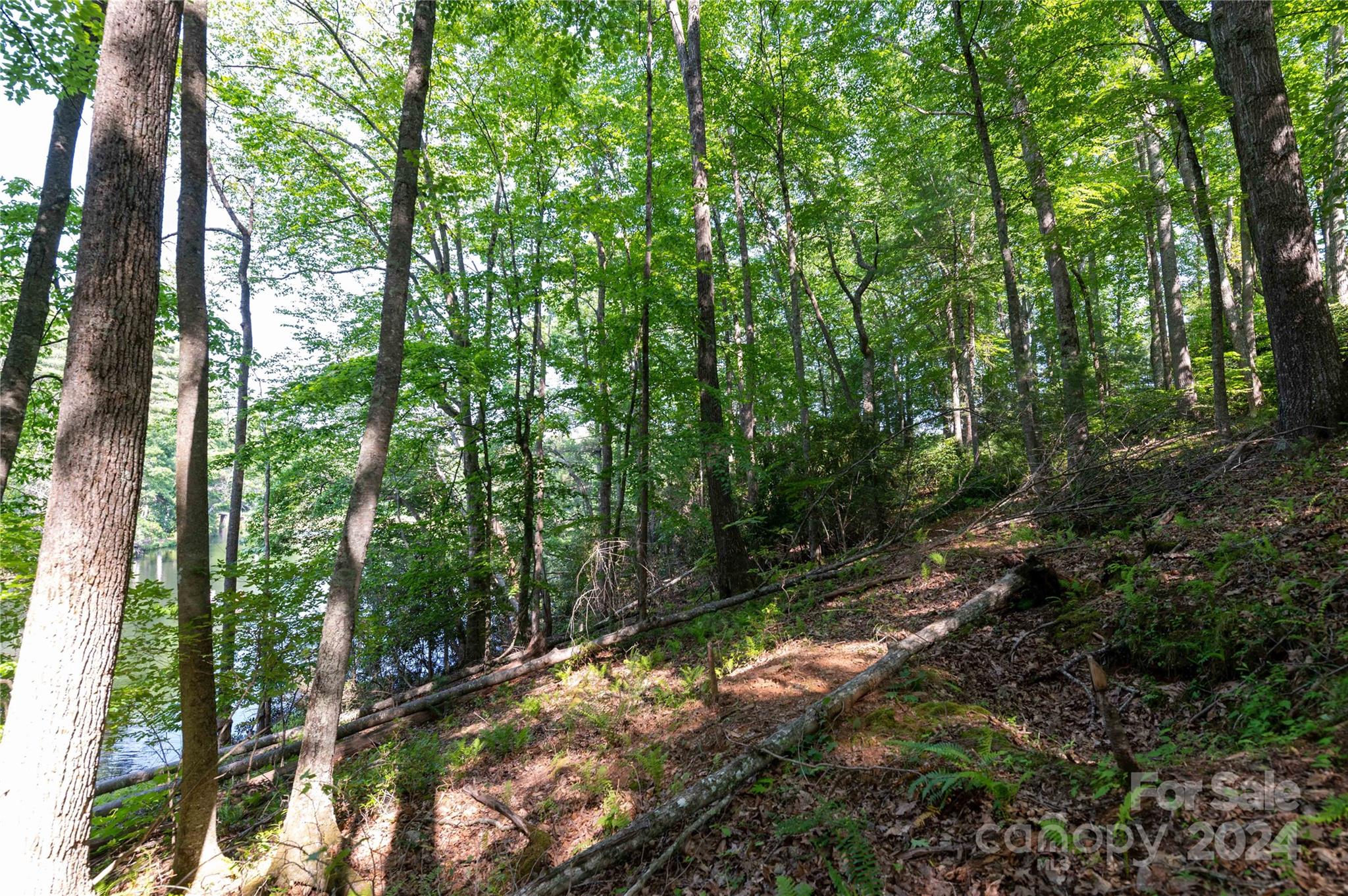 0 Deer Park Lake Road Spruce Pine, NC 28777 - Photo 12 of 21 a backyard of a house with lots of green space