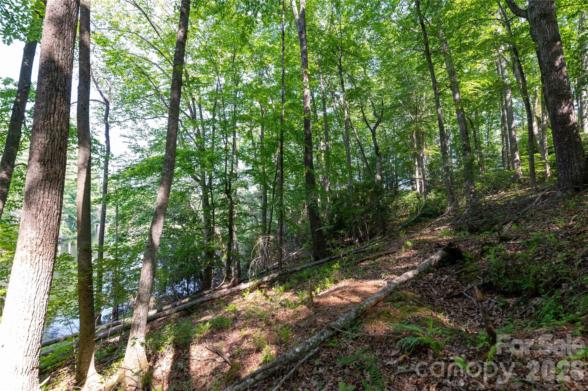 0 Deer Park Lake Road Spruce Pine, NC 28777 - Photo 13 of 21