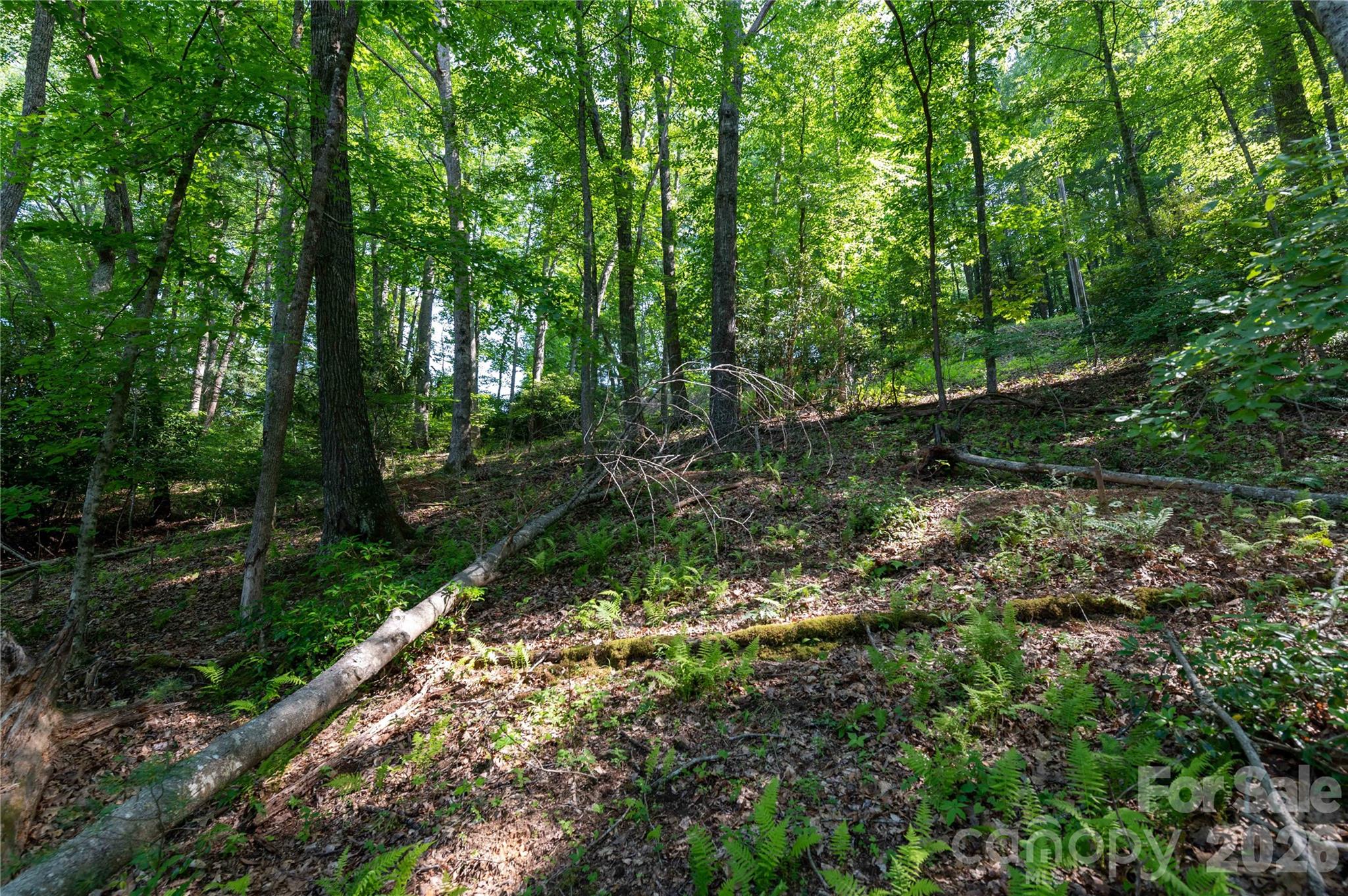0 Deer Park Lake Road Spruce Pine, NC 28777 - Photo 14 of 21