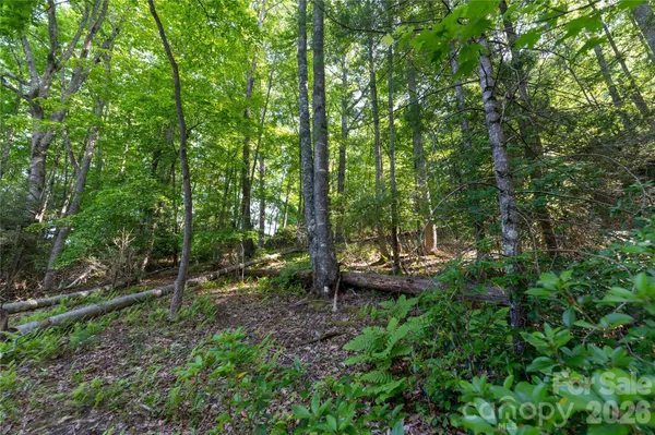 $89,500 | 0 Deer Park Lake Road, Spruce Pine, NC 28777