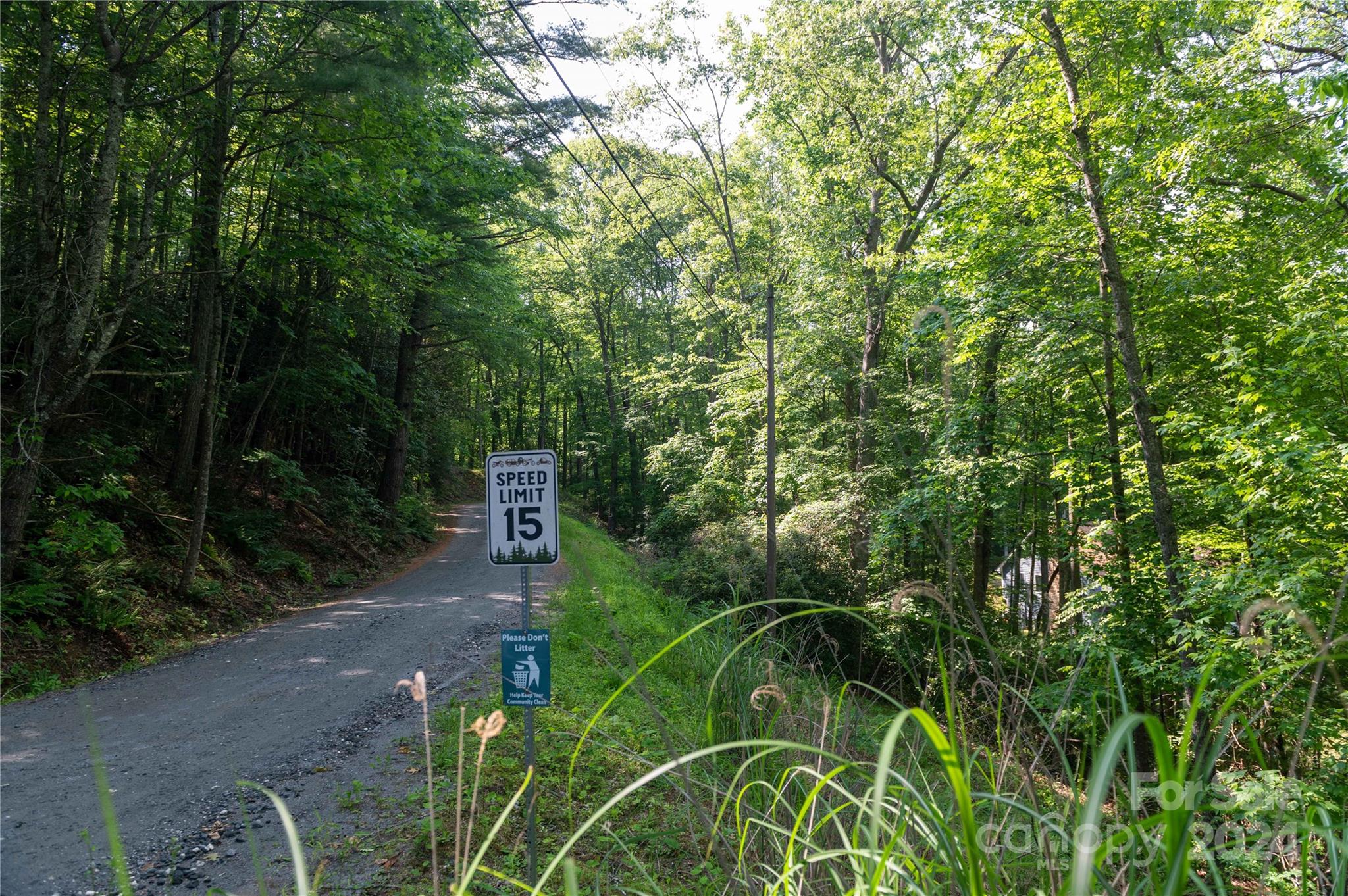 0 Deer Park Lake Road Spruce Pine, NC 28777 - Photo 17 of 21 a view of a street with a tree