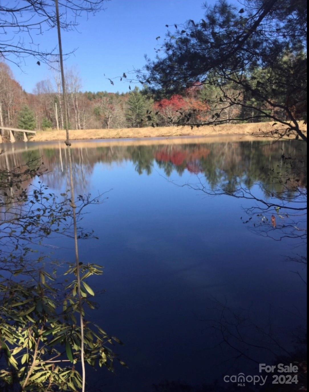 0 Deer Park Lake Road Spruce Pine, NC 28777 - Photo 20 of 21 a view of a lake