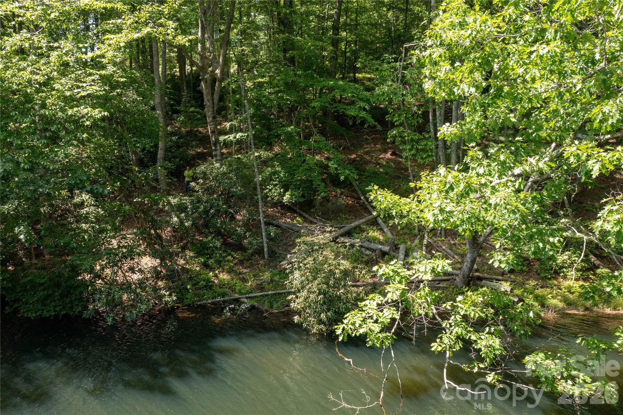 0 Deer Park Lake Road Spruce Pine, NC 28777 - Photo 21 of 21