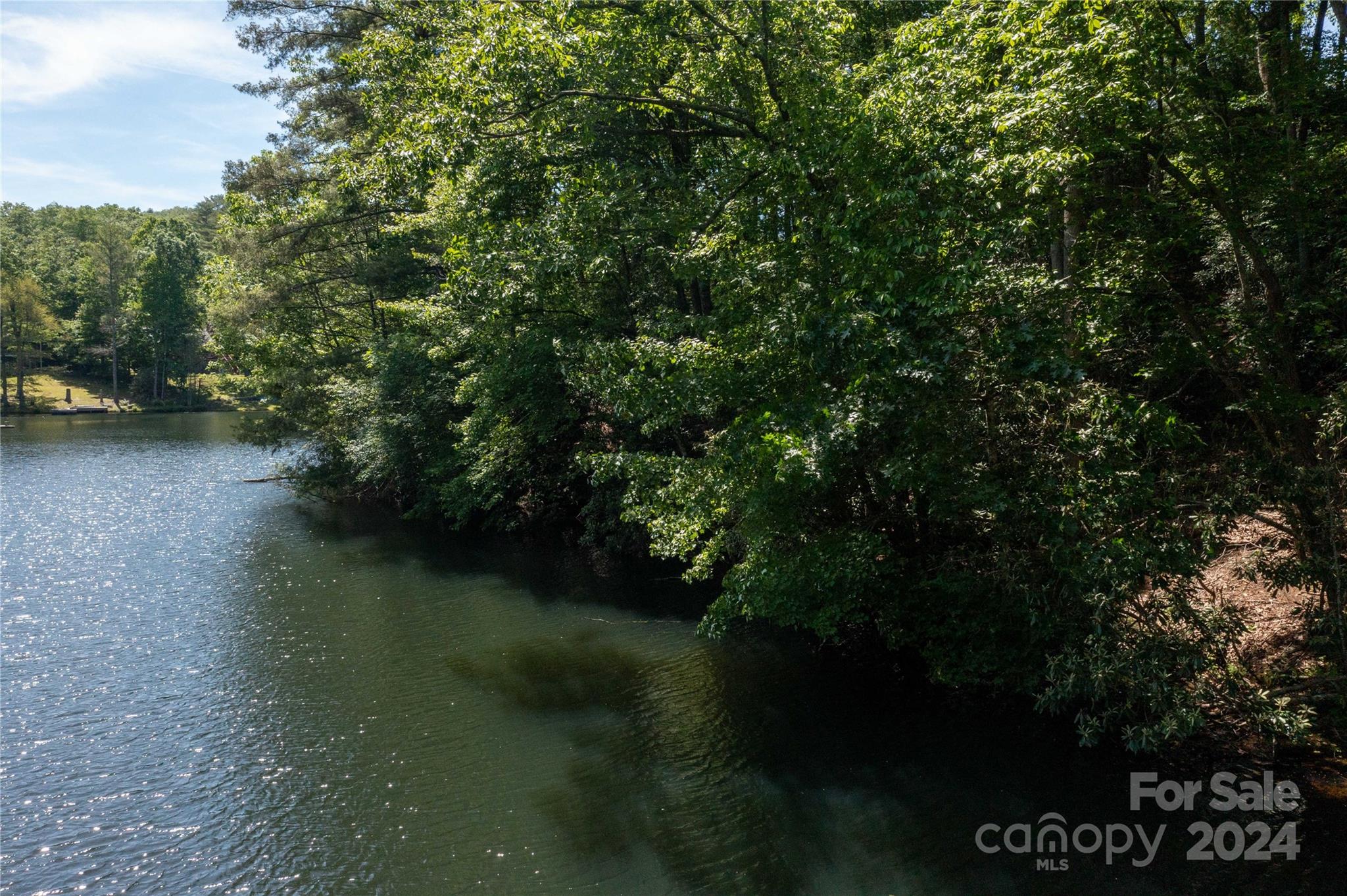 0 Deer Park Lake Road Spruce Pine, NC 28777 - Photo 4 of 21 a view of a lake from a yard