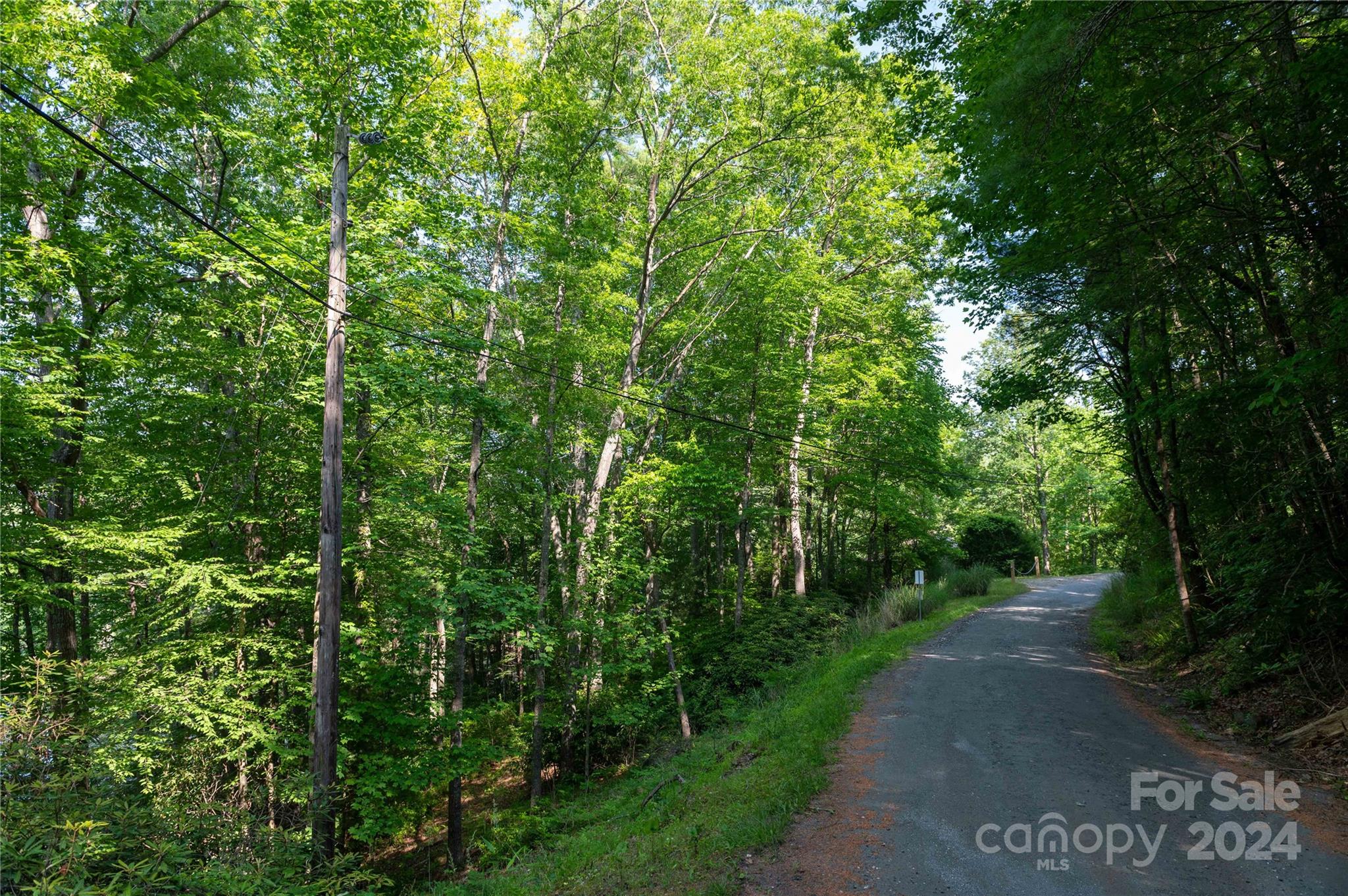 0 Deer Park Lake Road Spruce Pine, NC 28777 - Photo 5 of 21 a view of path in between the bunch of trees