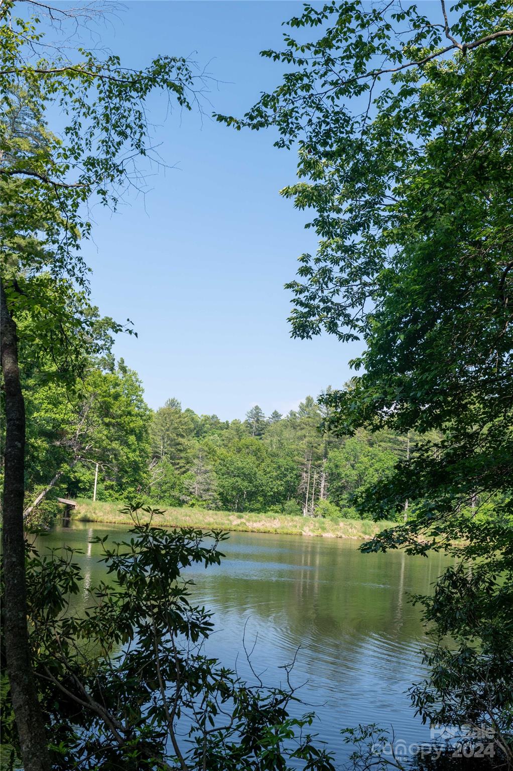 0 Deer Park Lake Road Spruce Pine, NC 28777 - Photo 7 of 21 a view of lake