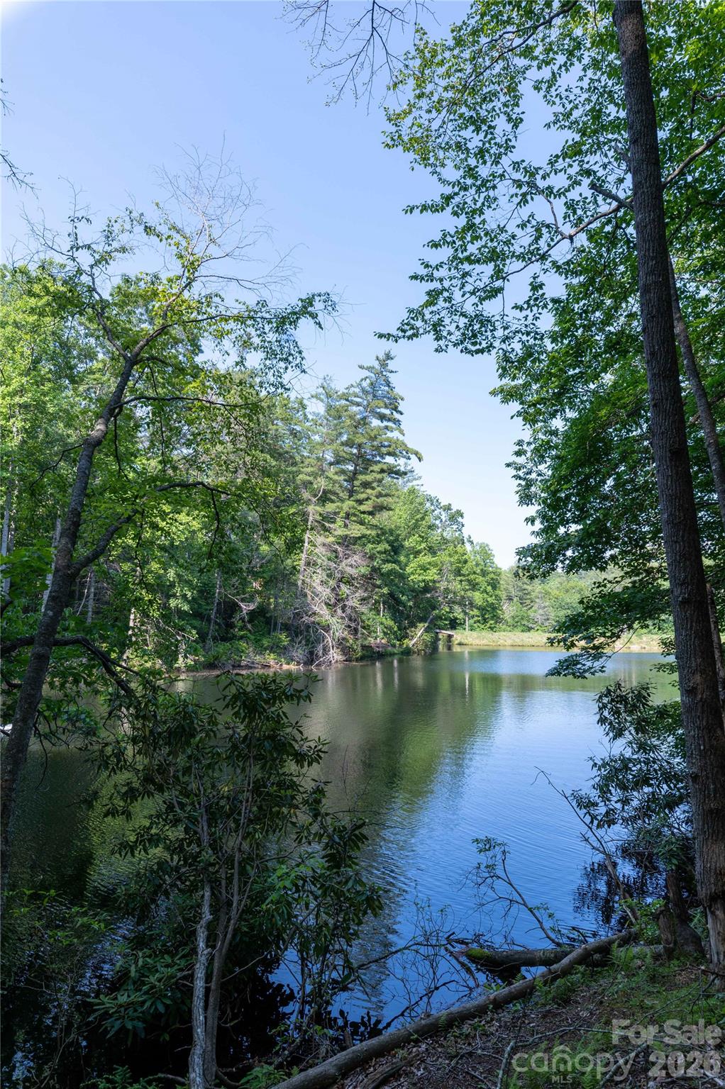 0 Deer Park Lake Road Spruce Pine, NC 28777 - Photo 7 of 21