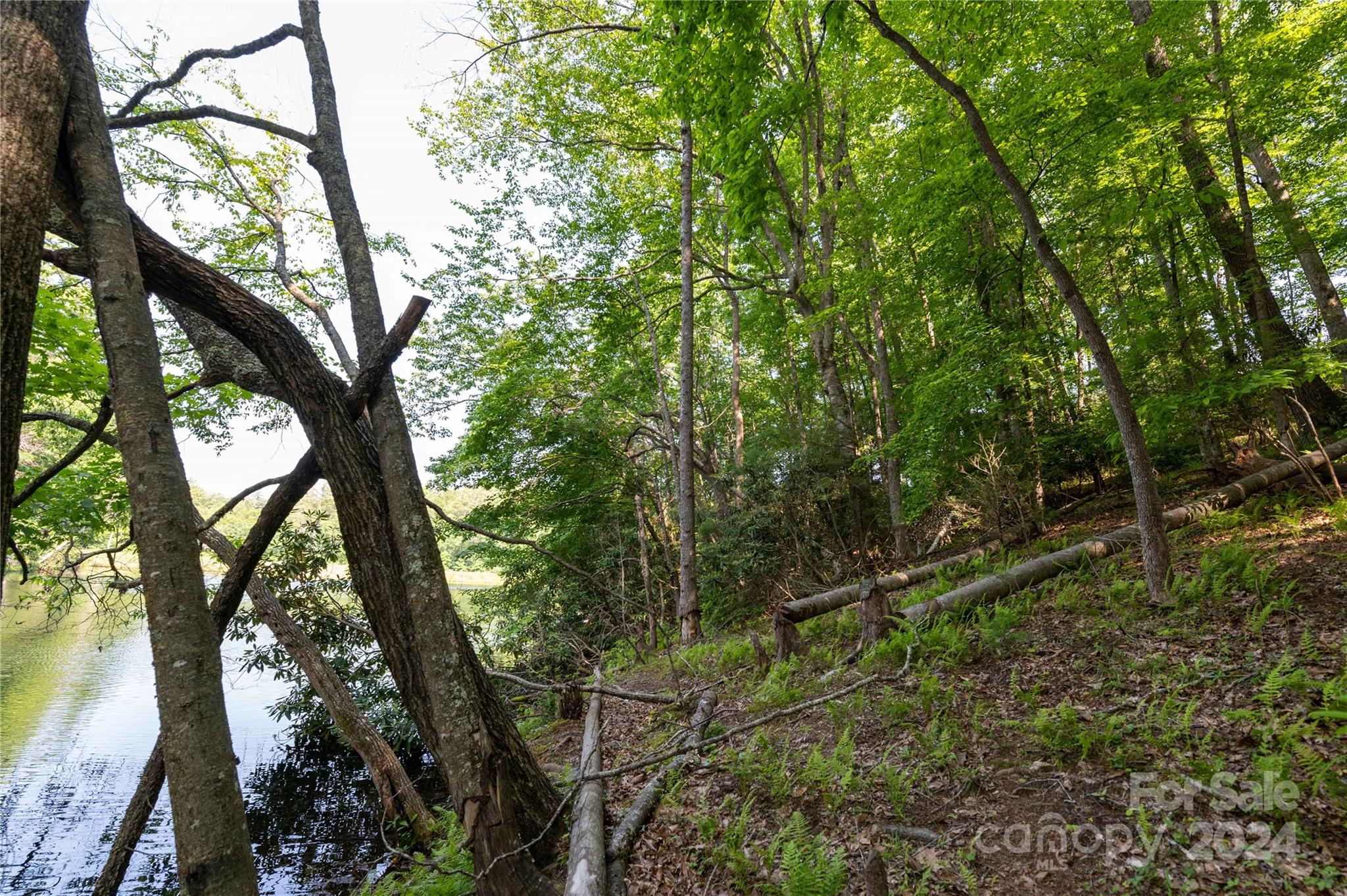 0 Deer Park Lake Road Spruce Pine, NC 28777 - Photo 8 of 21 a backyard of a house with lots of green space