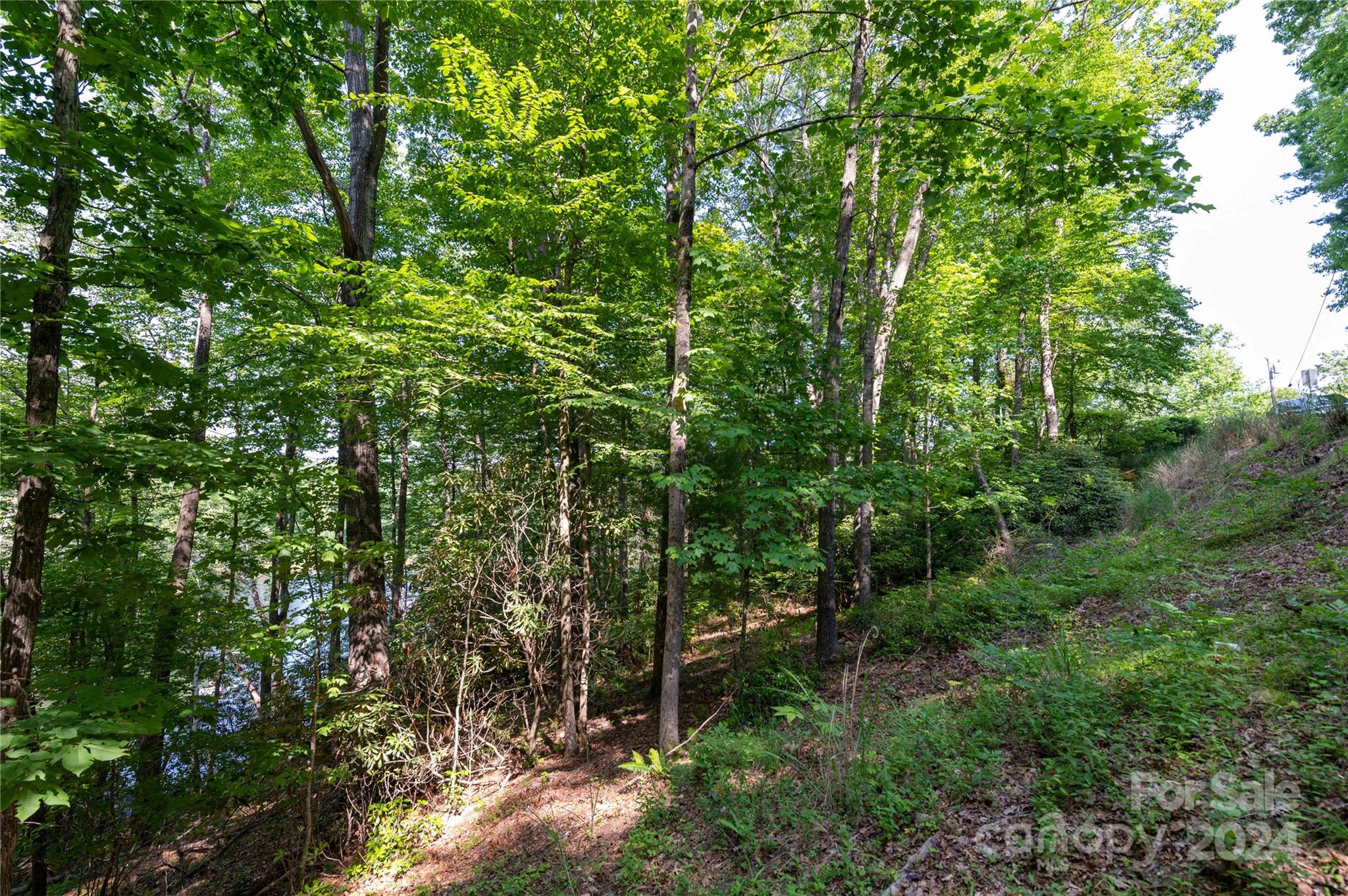 0 Deer Park Lake Road Spruce Pine, NC 28777 - Photo 10 of 21 a view of forest