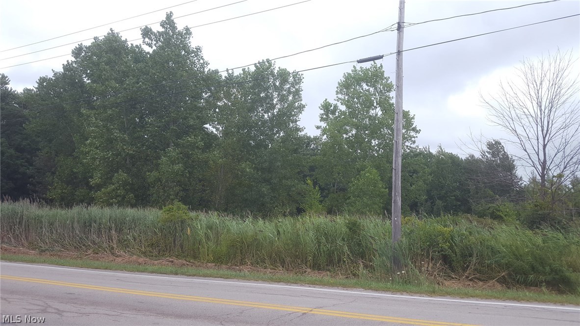 0 County Line Road Geneva, OH 44041 - Photo 3 of 11
