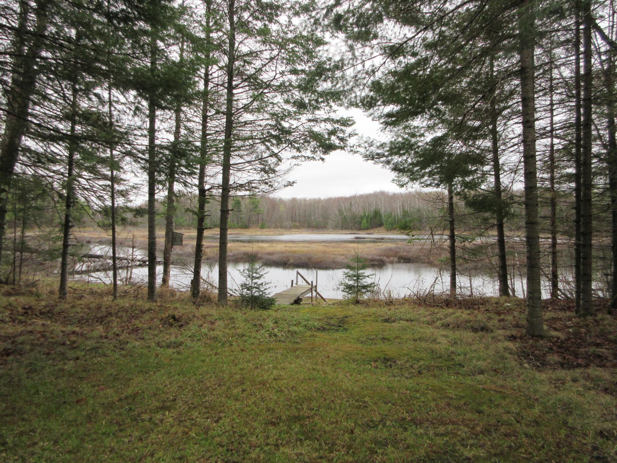 3010 County Road West Crandon, WI 54520 - Photo 11 of 20 Gallery Image 11
