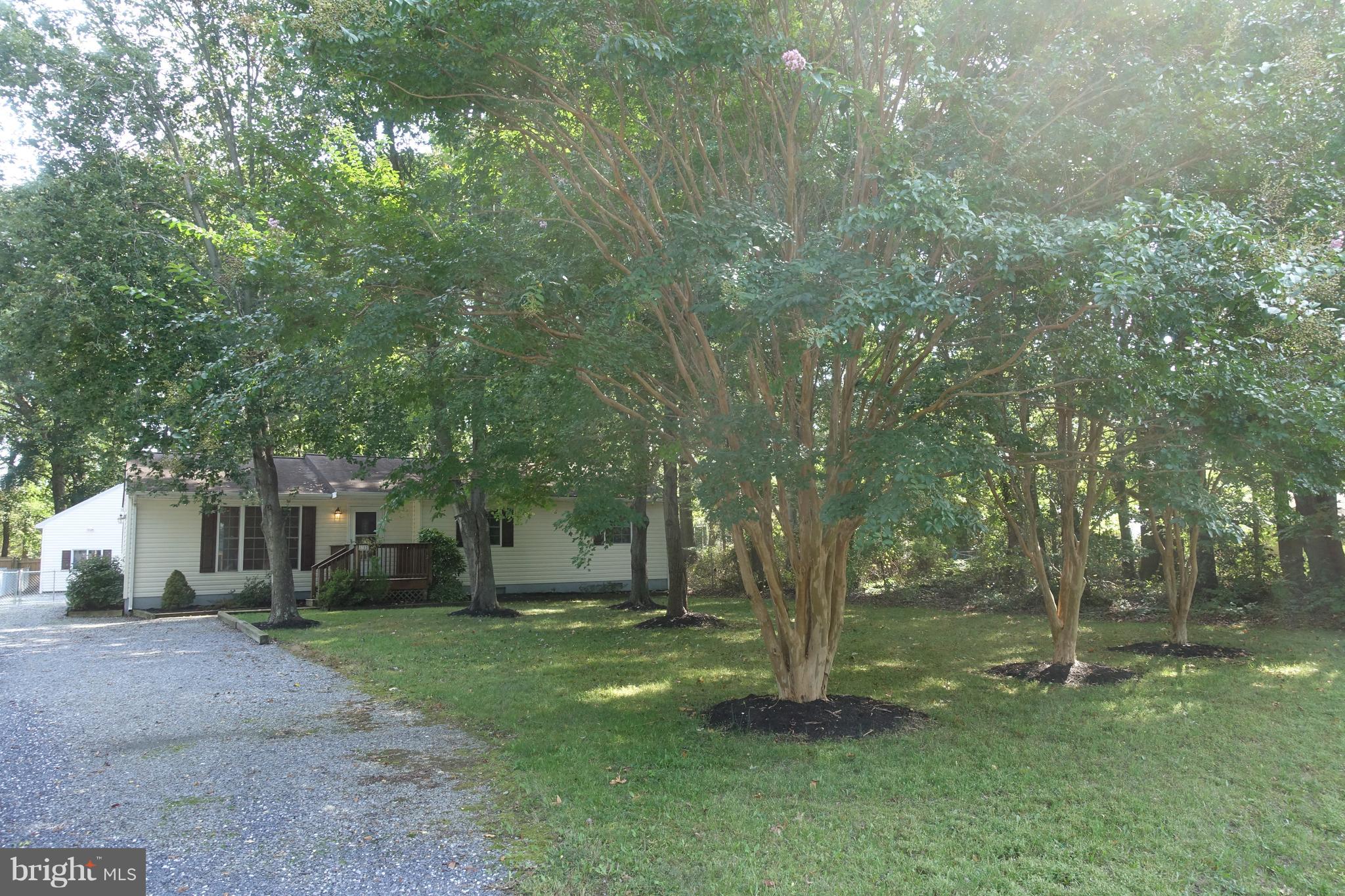 702 Old Love Point Road Stevensville, MD 21666 - Photo 40 of 41 Mature landscaping in front yard