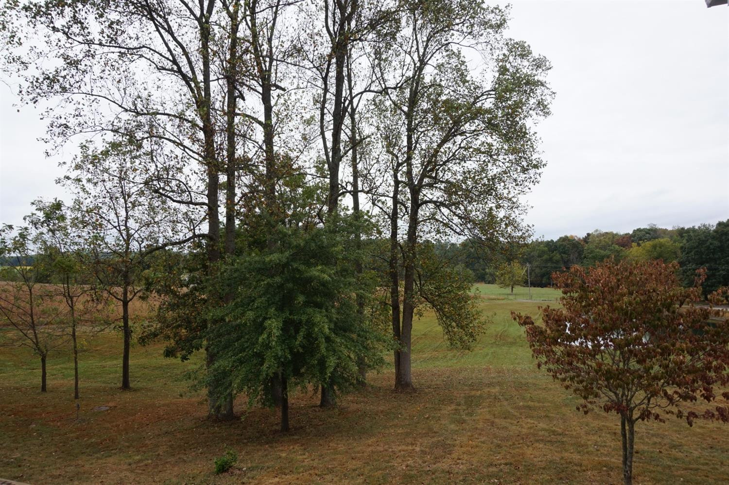 1225 Johnson Road Waynesburg, KY 40489 - Photo 34 of 65 Listing Photo