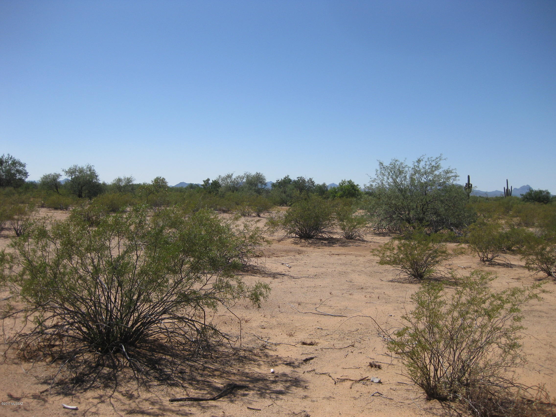 7365 North Pear Tree Road Tucson, AZ 85743 - Photo 29 of 31 Gallery Image 29