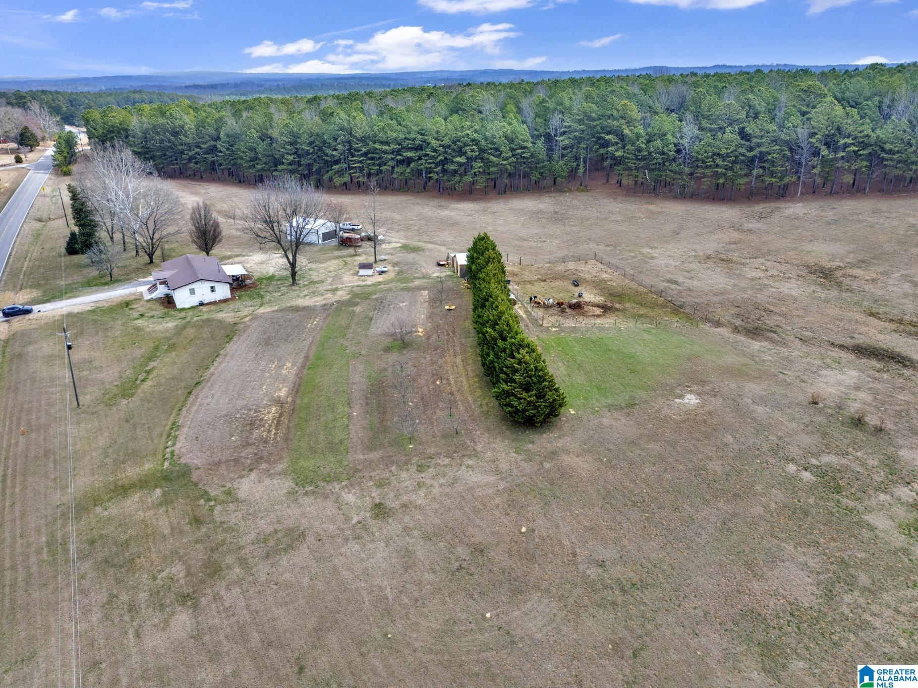 5743 County Road 27 Springville, AL 35146 - Photo 38 of 43
