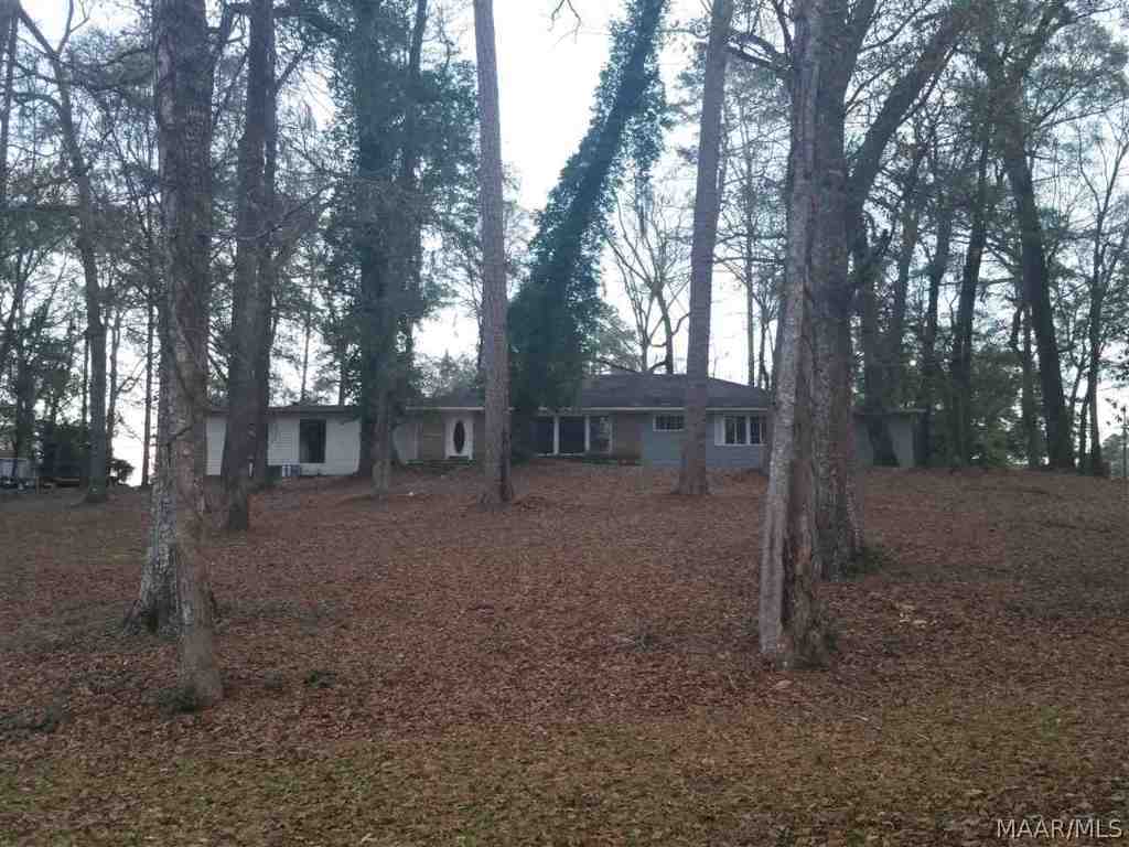 145 Skipperville Road Ozark, AL 36360 - Photo 18 of 35 Gallery Image 18