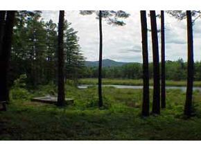44 Miles Road Sandwich, NH 03259 - Photo 2 of 8