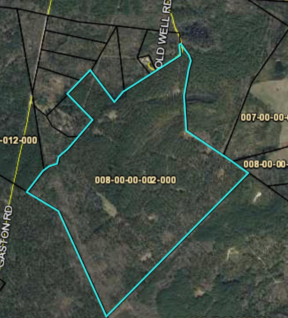 0 Old Well Road McCormick, SC 29835 - Photo 1 of 1 Main View