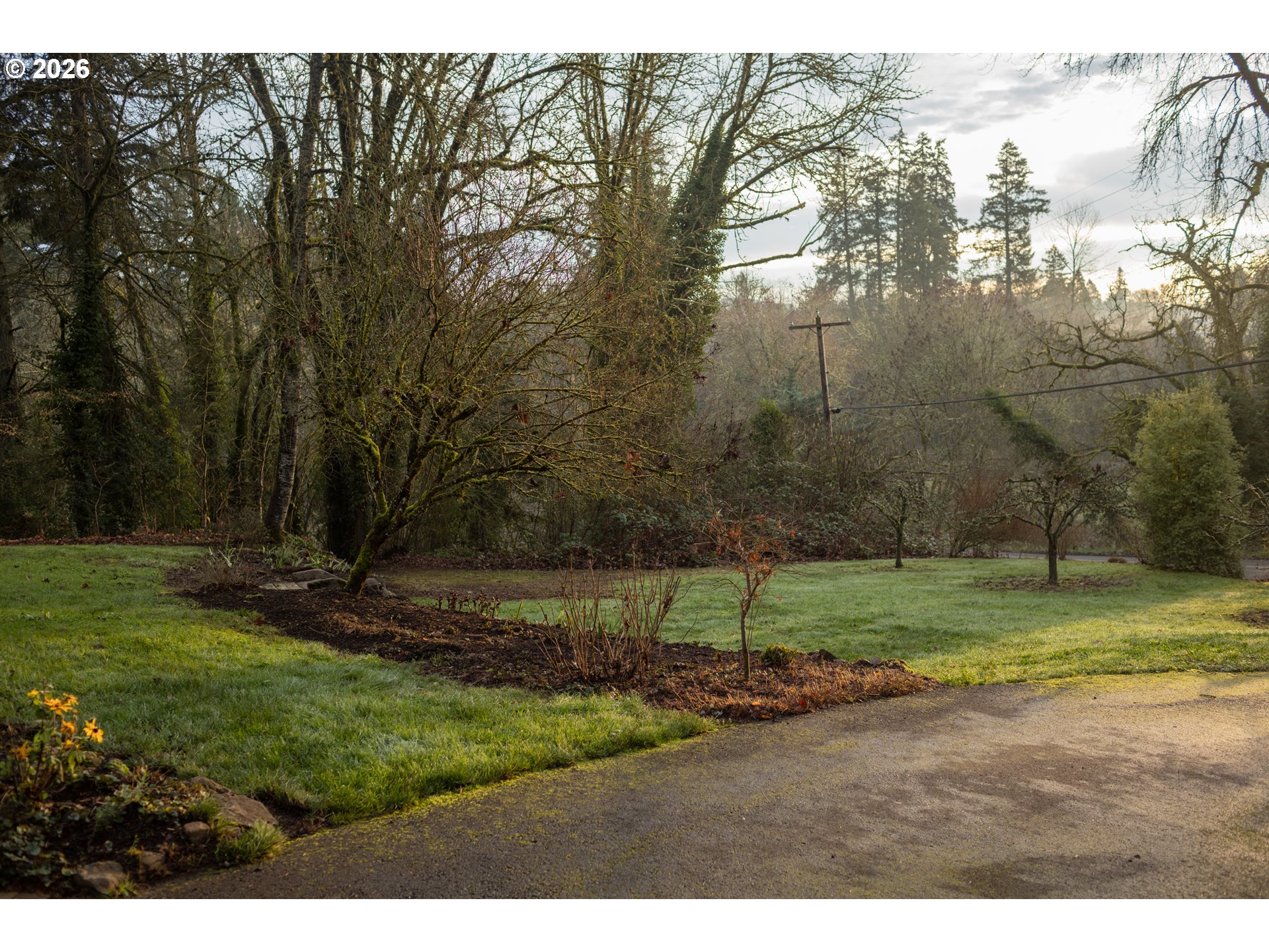 24085 Northeast Sunnycrest Road Newberg, OR 97132 - Photo 40 of 48 Backyard