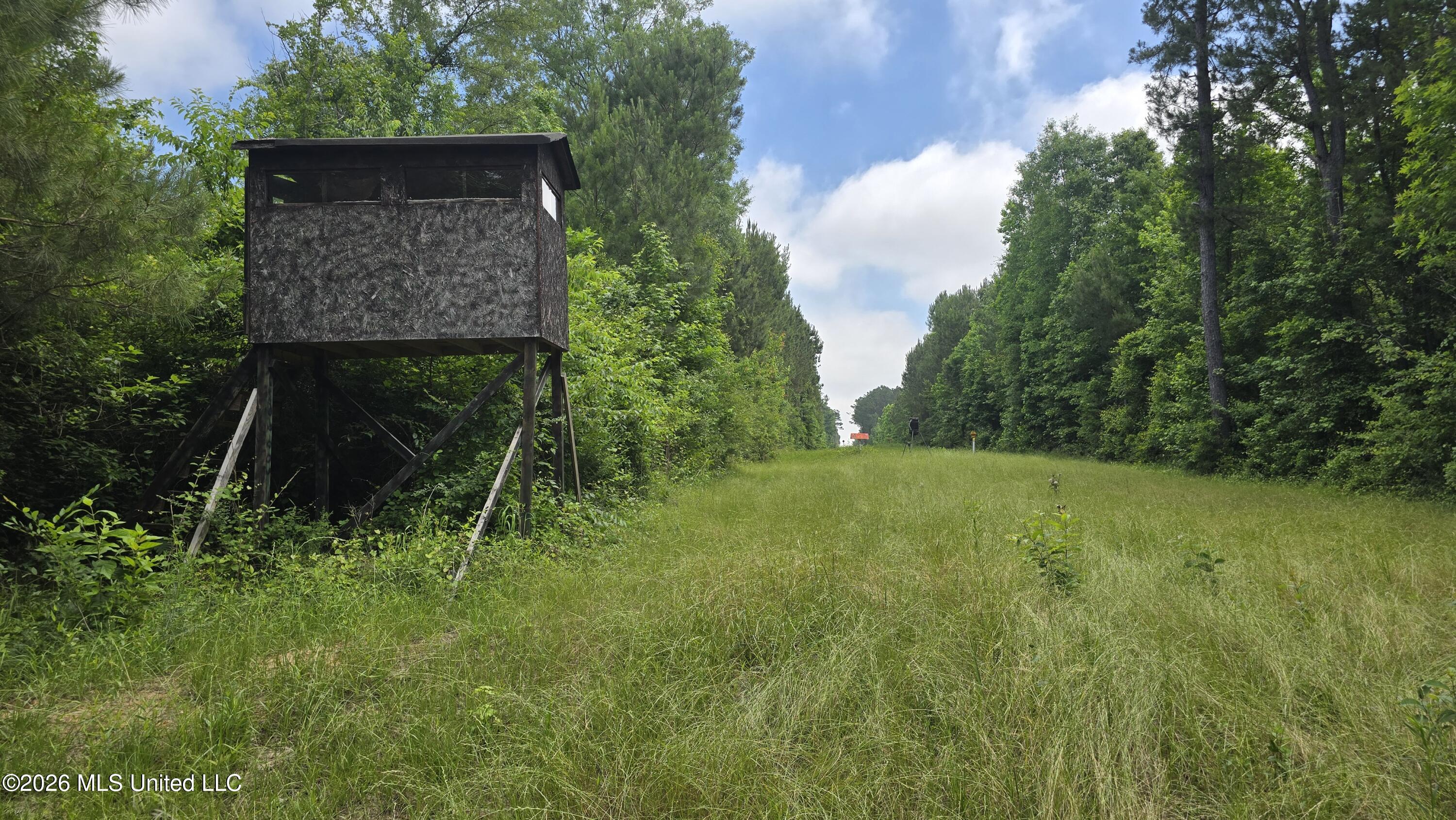 189 Co Road Bay Springs, MS 39422 - Photo 29 of 61 20260513_105242