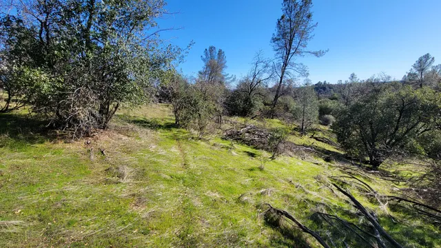 a view of a backyard of the house