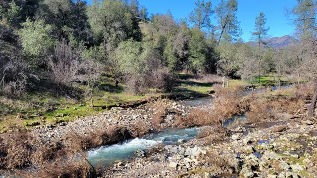 a backyard of a house with a yard with outdoor seating and trees