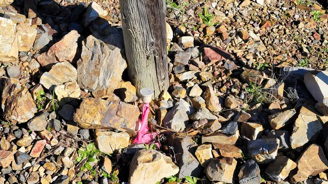 a view of a lake in middle of forest