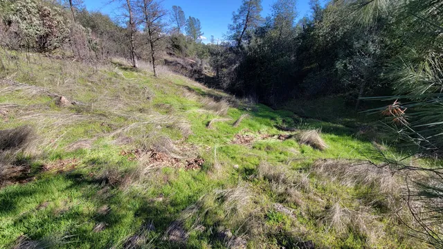 a view of a field with trees in the background