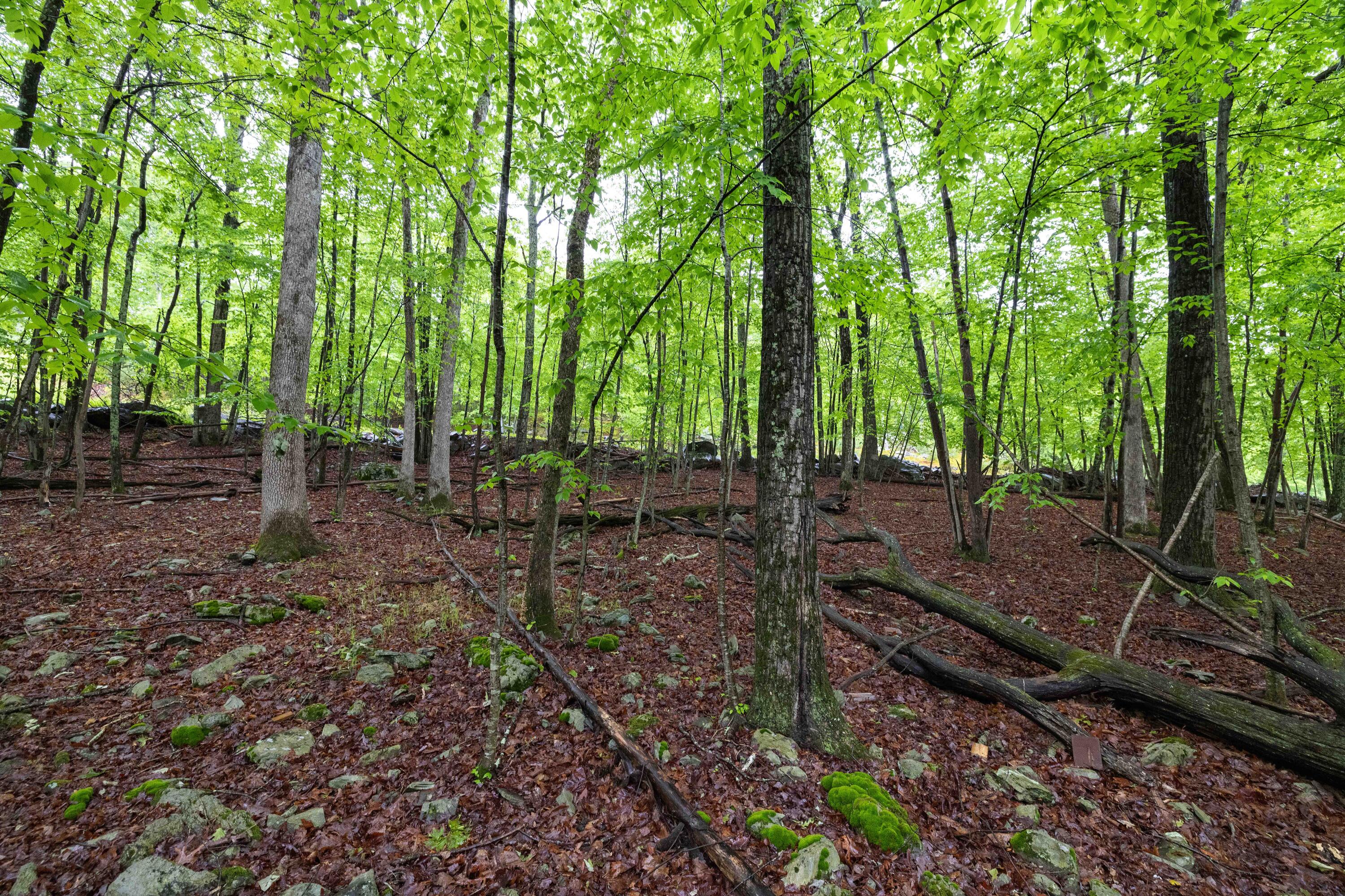 1086 Hampstead Road Bushkill, PA 18324 - Photo 6 of 64 6- Backyard