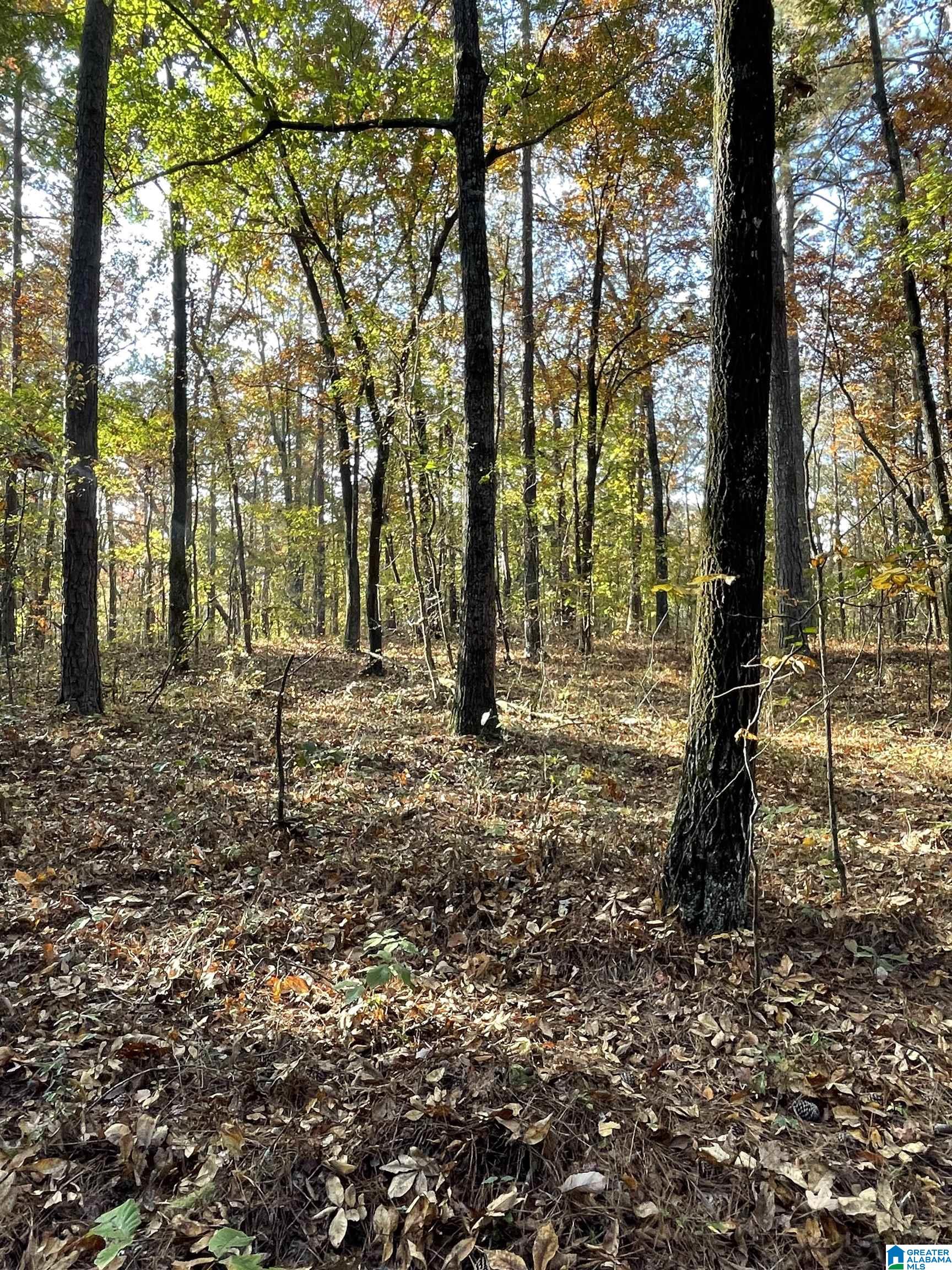 0 Stratford Road, Unit 140 Talladega, AL 35160 - Photo 1 of 2