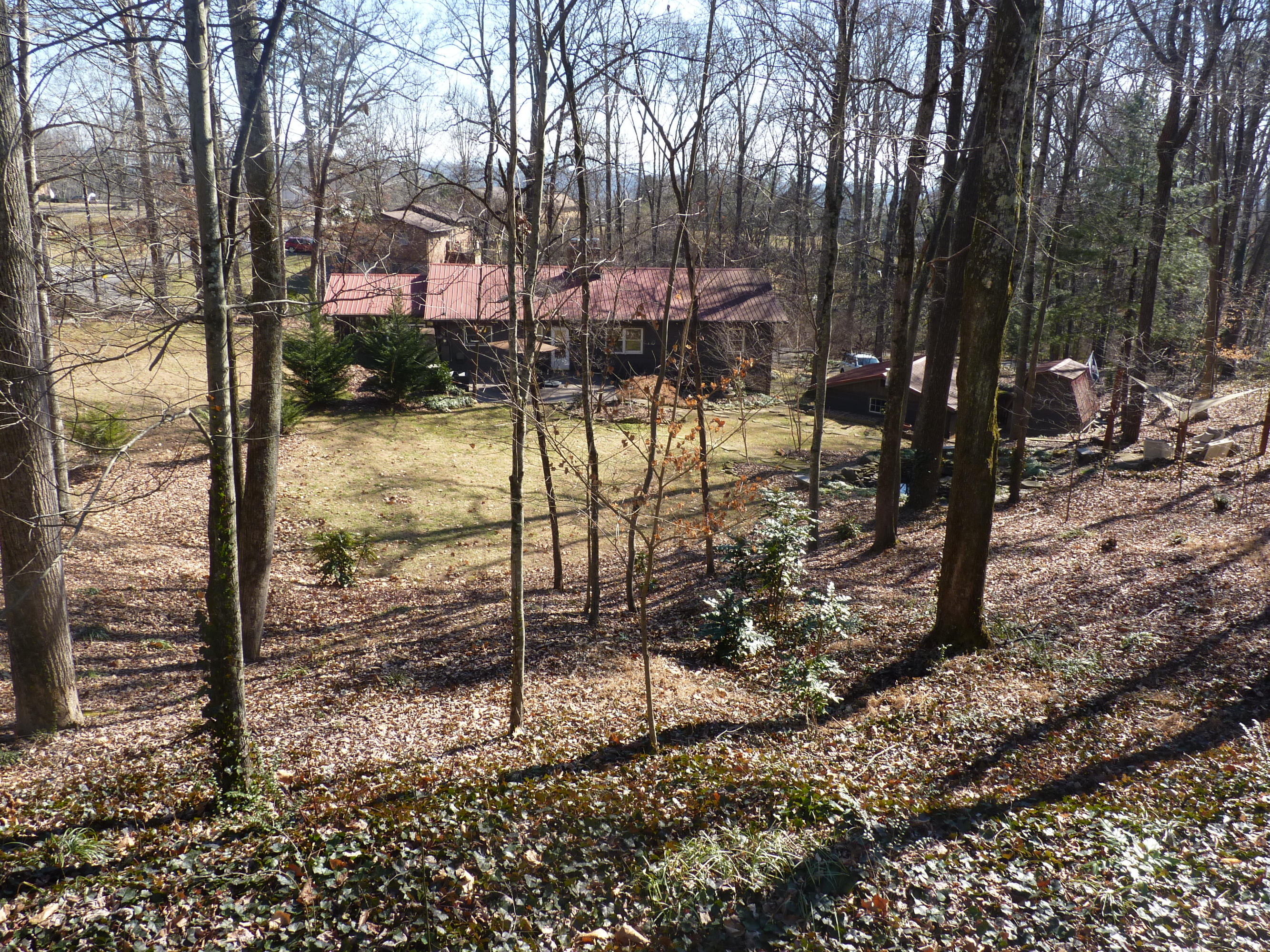 5929 Ridgewood Road Knoxville, TN 37918 - Photo 20 of 21 Private Backyard