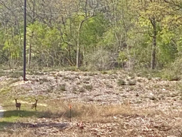 $125,000 | 16 Fm 1848, Buffalo, TX 75831