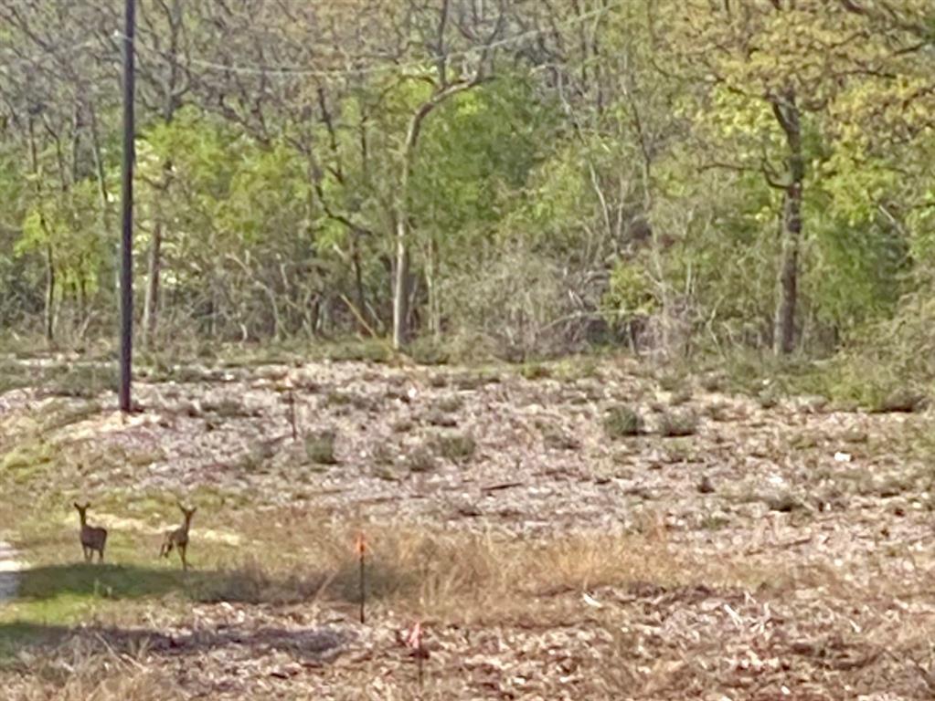 16 Fm 1848 Buffalo, TX 75831 - Photo 11 of 11