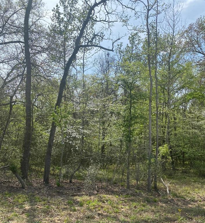 16 Fm 1848 Buffalo, TX 75831 - Photo 10 of 11 a view of a lake view