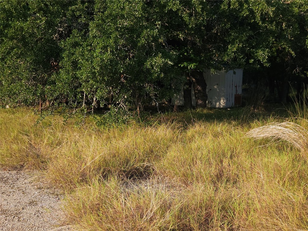 2217 Downing Lane Leander, TX 78641 - Photo 15 of 18 a view of swimming pool next to a yard