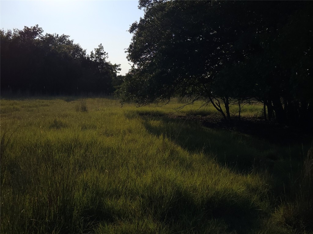 2217 Downing Lane Leander, TX 78641 - Photo 18 of 18 a view of a lake from a yard