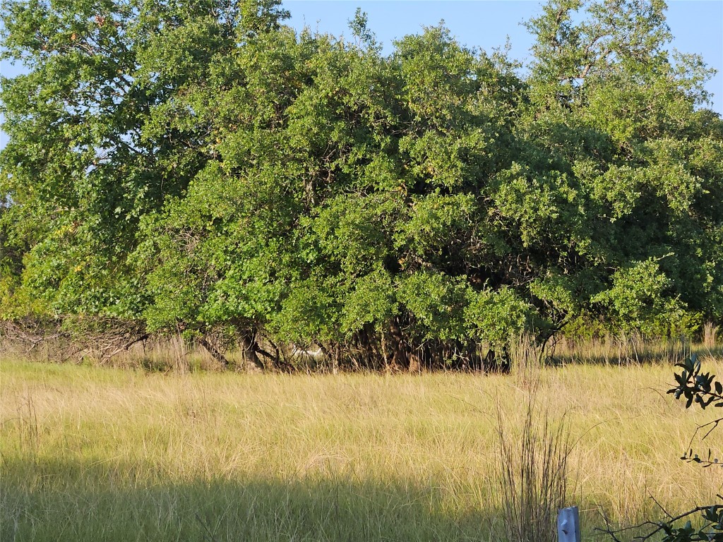 2217 Downing Lane Leander, TX 78641 - Photo 8 of 18