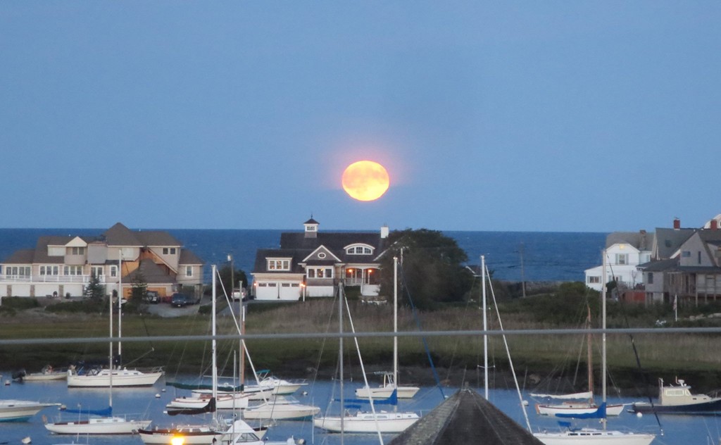 104 Edward Foster Road Scituate, MA 02066 - Photo 27 of 27 Gallery Image 27