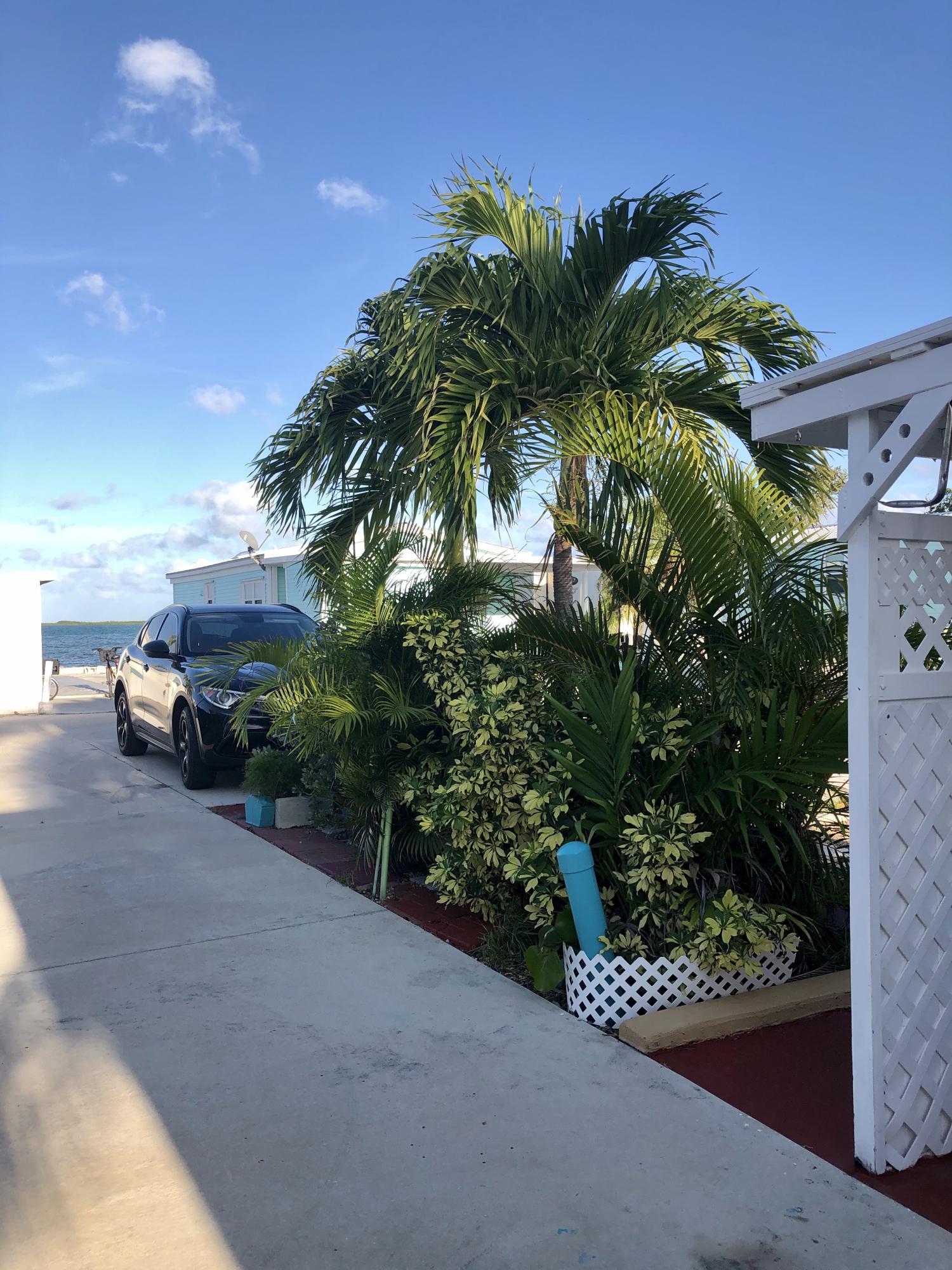 55 Boca Chica Road, Unit 461 Key West, FL 33040 - Photo 24 of 37 a picture of plants