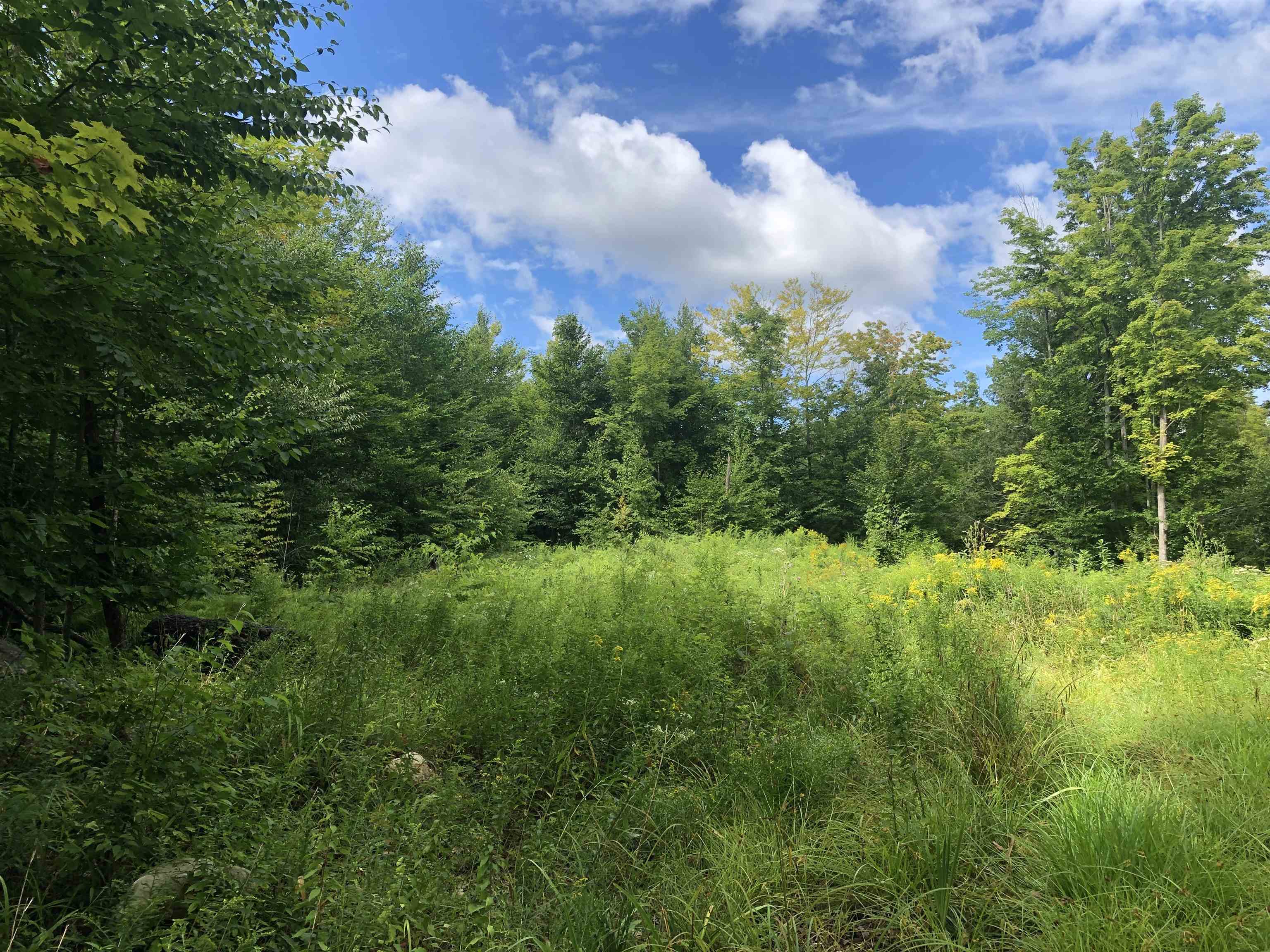 103 Middle Road Deerfield, NH 03037 - Photo 4 of 10