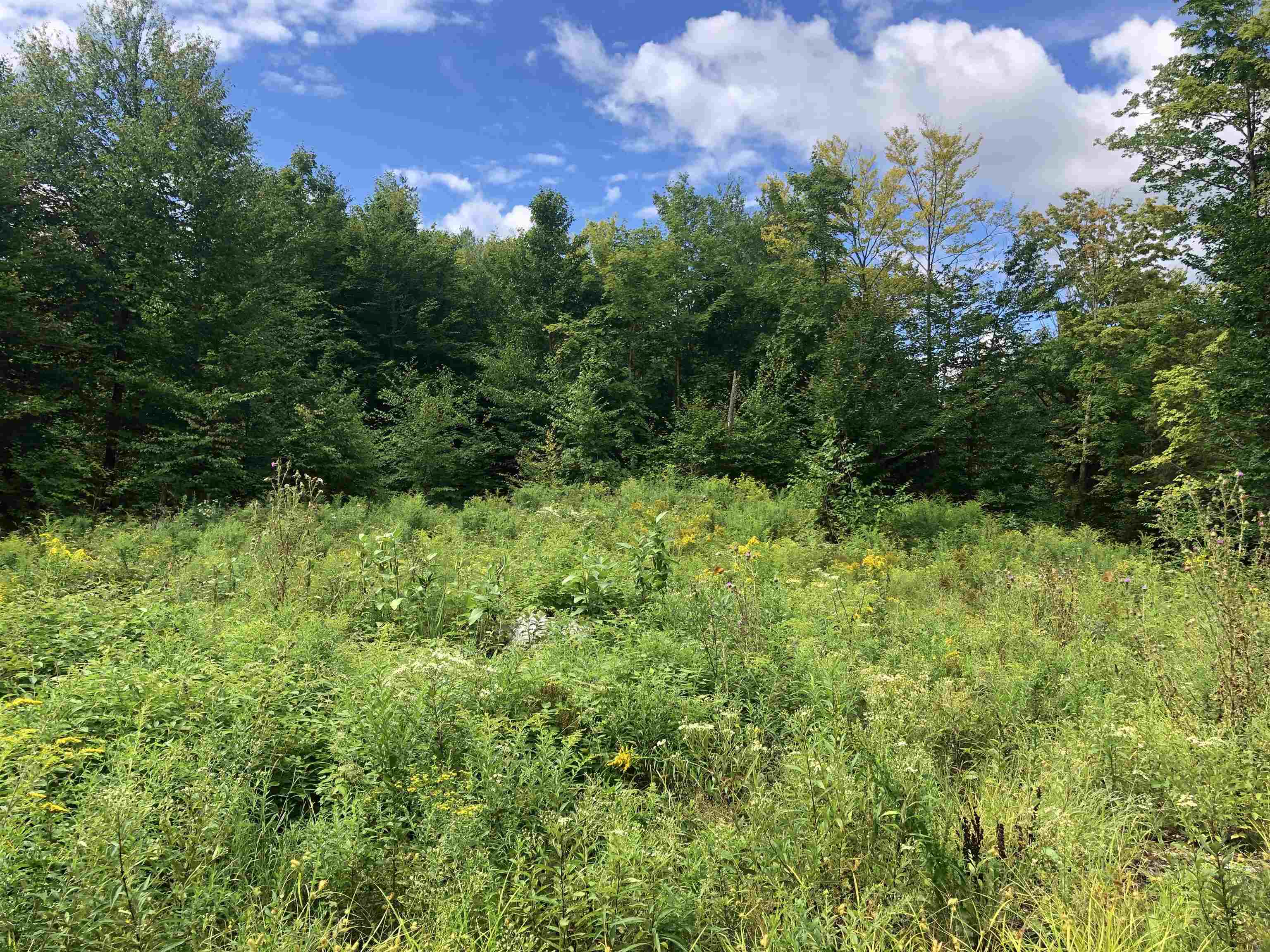 103 Middle Road Deerfield, NH 03037 - Photo 5 of 10