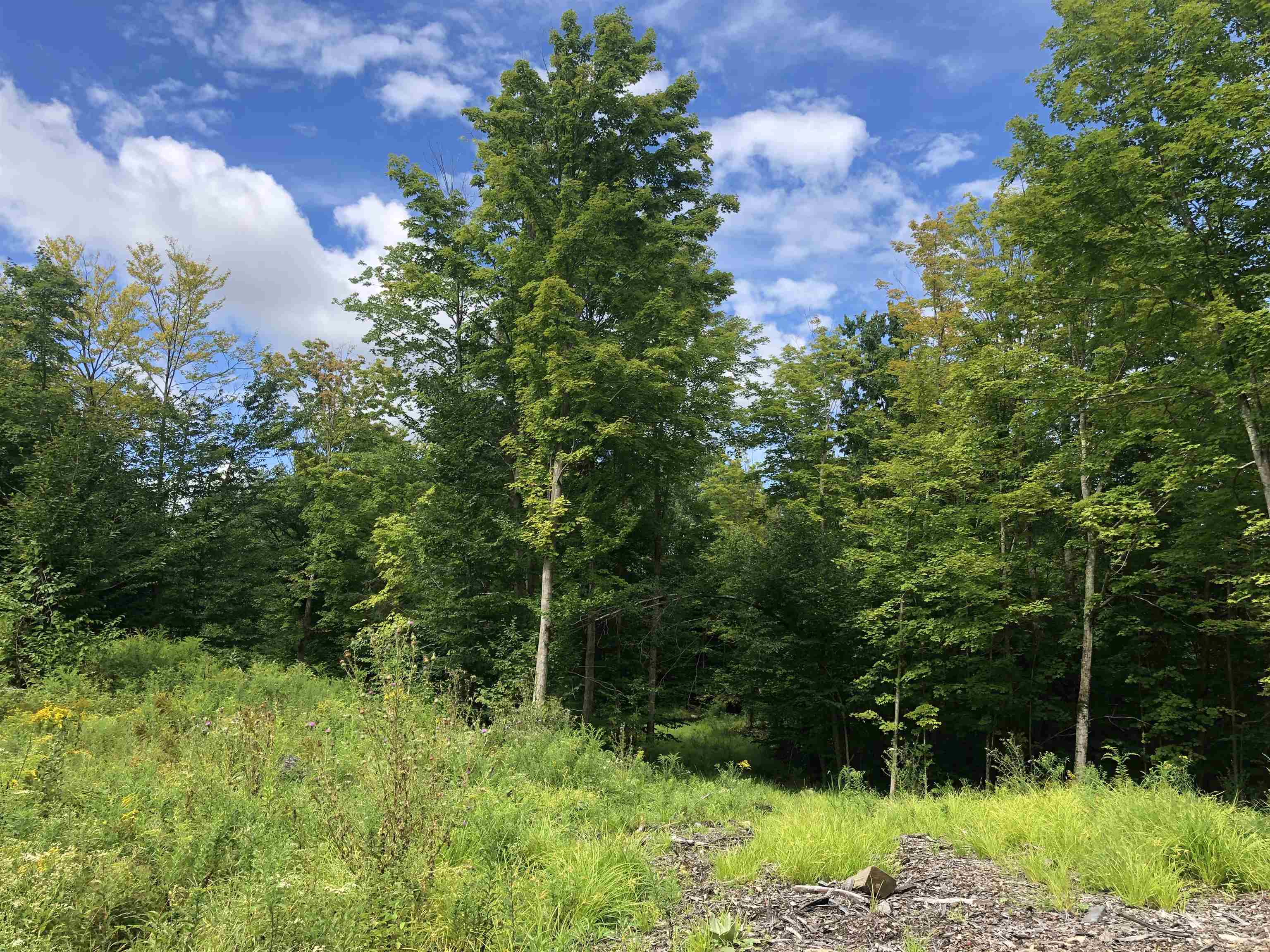 103 Middle Road Deerfield, NH 03037 - Photo 6 of 10