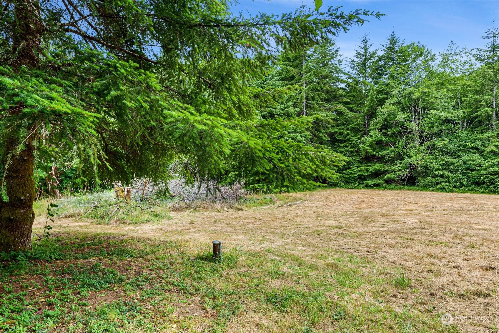 296 Lund Road Cosmopolis, WA 98537 - Photo 31 of 33 Gallery Image 31