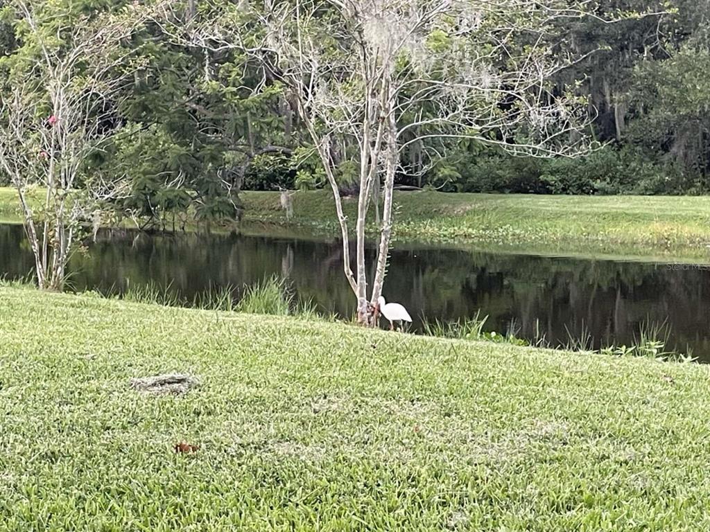 0 Loquat Lane Sarasota, FL 34232 - Photo 2 of 5