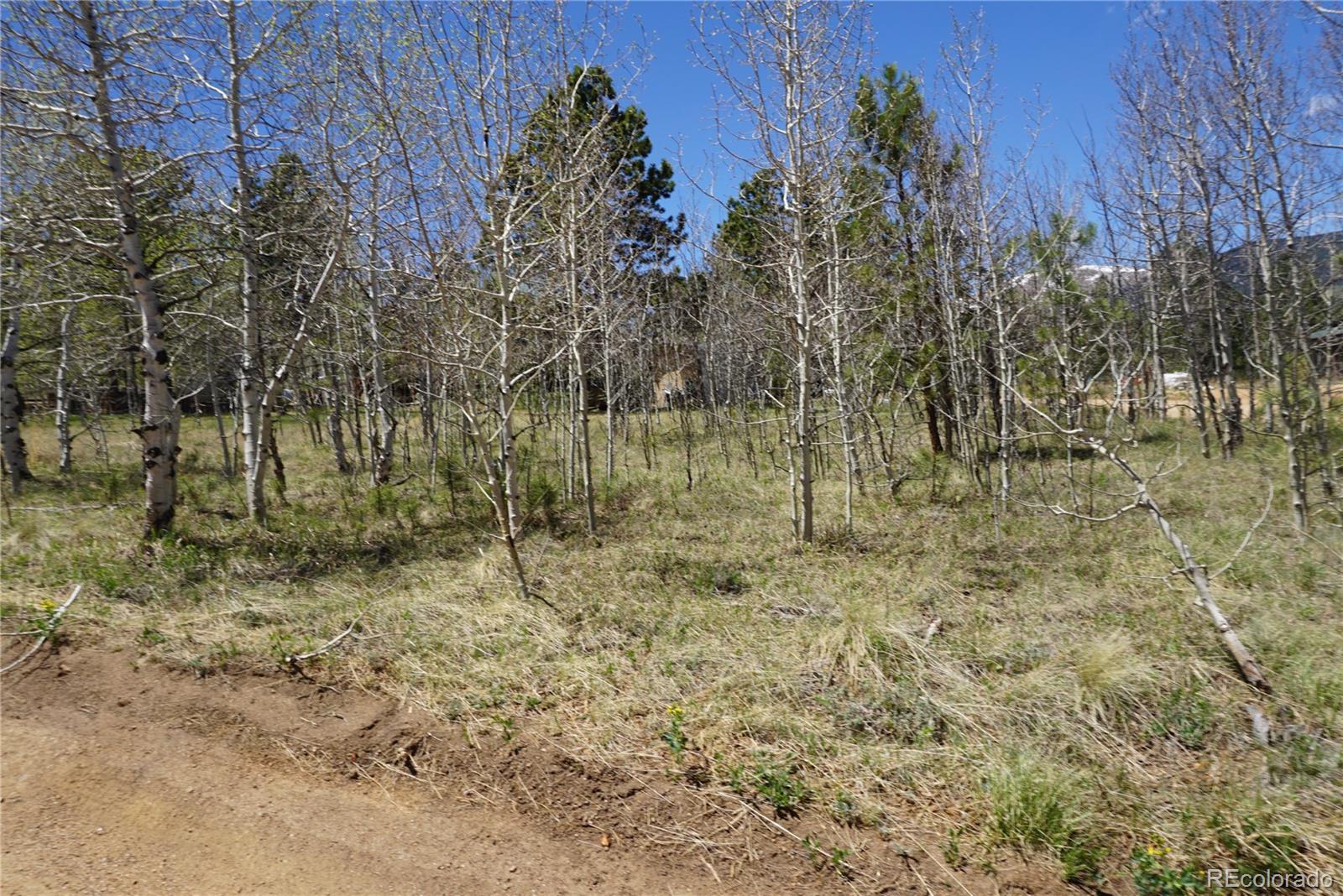 32 Smokey Rock Road Bailey, CO 80421 - Photo 28 of 36
